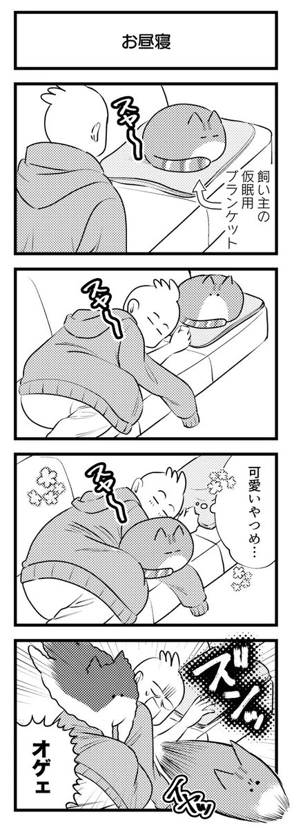 フォロワーさん増えたので最近の漫画まとめです①
他はnote見ると早いです👐 