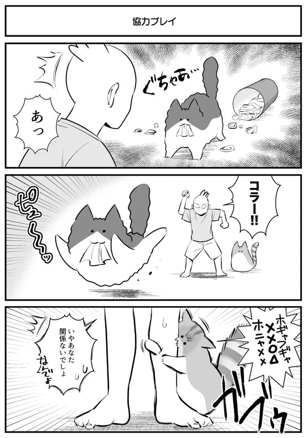 まとめ② 