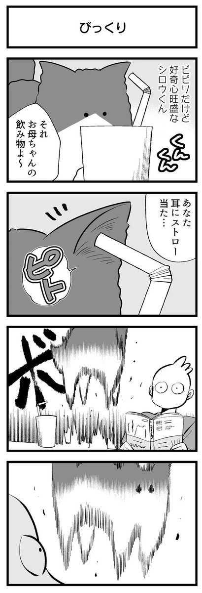 まとめ② 