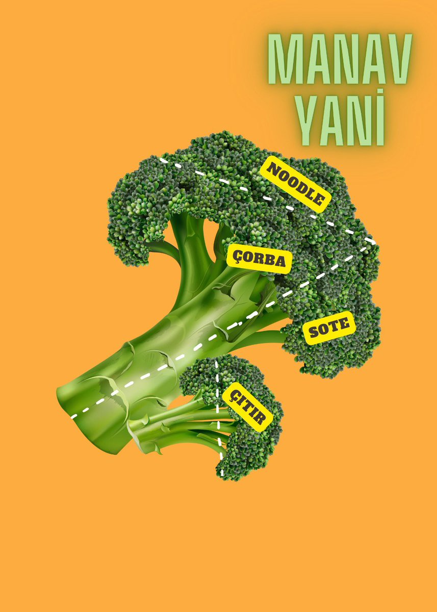 LimonitaClub's tweet photo. Hayvanların tezgah üstünde değil el üstünde tutulduğu bir kasap. Manav yani. 🥰🍋 @dogalafetmine https://t.co/5OtzW8y2ra