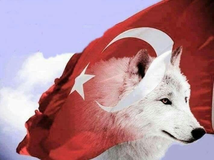 Ülkü uğrunda gönüller delidir, kişiler ülkü uğrunda ölmelidir… Ziyâ Gökalp