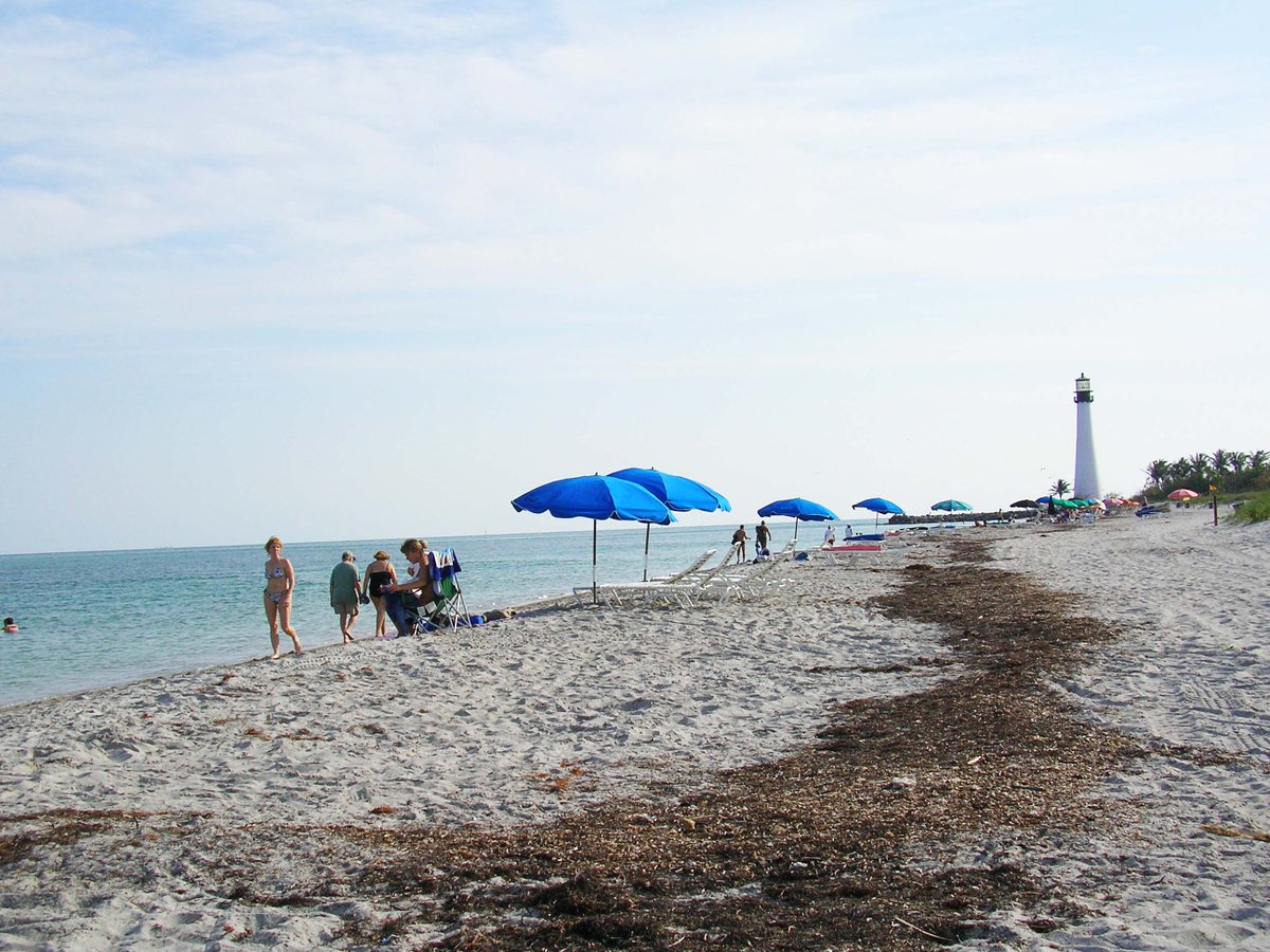 RunOurWorld's tweet photo. #KeyBiscayne is an island getaway right inside #Miami. Beaches, a lighthouse, seabirds, fishermen, mangroves, great vistas, all found in #BillBaggsStatePark. Try this great #running route when in town! https://t.co/IDiBdVk4q0 #travel #fitness https://t.co/iyBKx2dR01