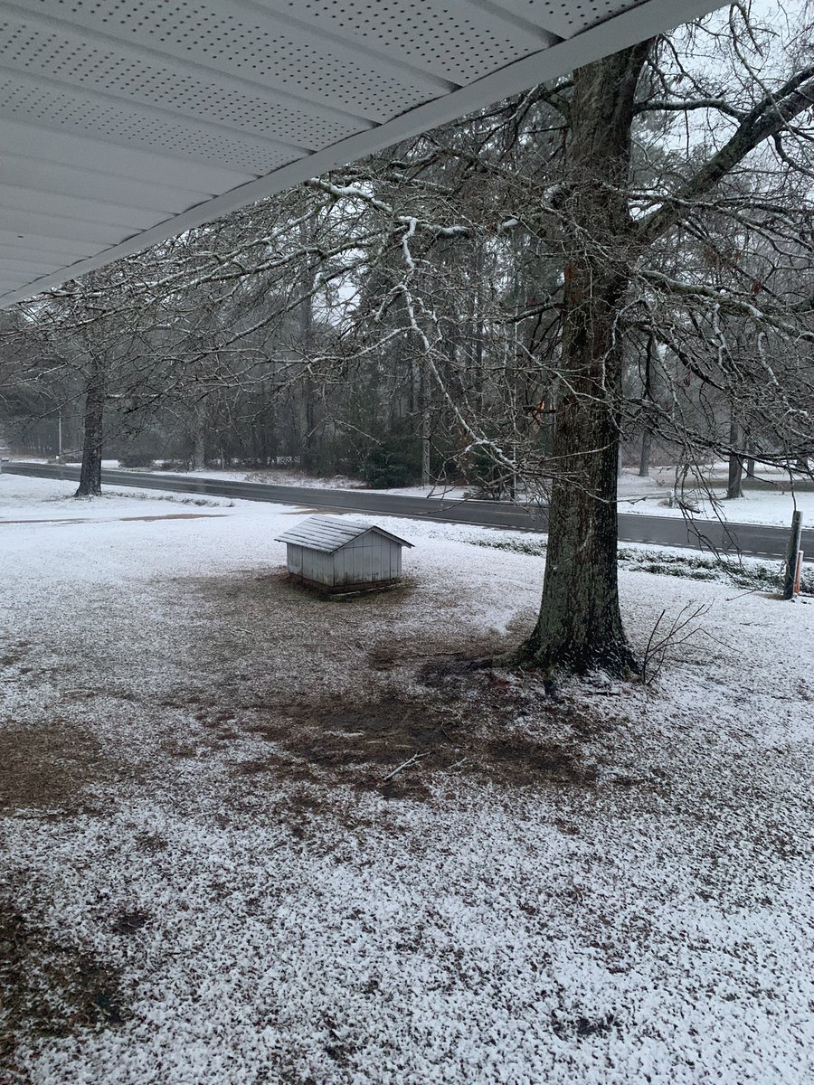 thecarltodd's tweet image. Woke up to this….it’s still coming down at a fast and heavy pace.