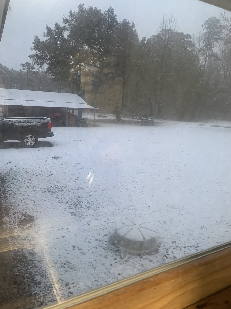 thecarltodd's tweet image. Woke up to this….it’s still coming down at a fast and heavy pace.