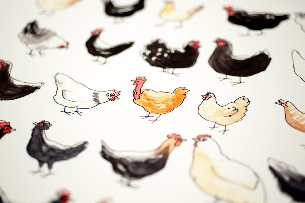 _kness's tweet photo. I have this thing with cute animals and grids. 
It began with this chicken painting, let me check, 10 years ago. 

42 Frrench Chicken Breeds https://t.co/HP6Nl9R2bf