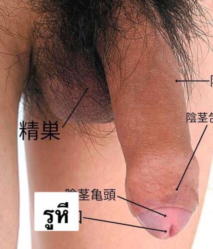 แอนนาฤษ tweet media
