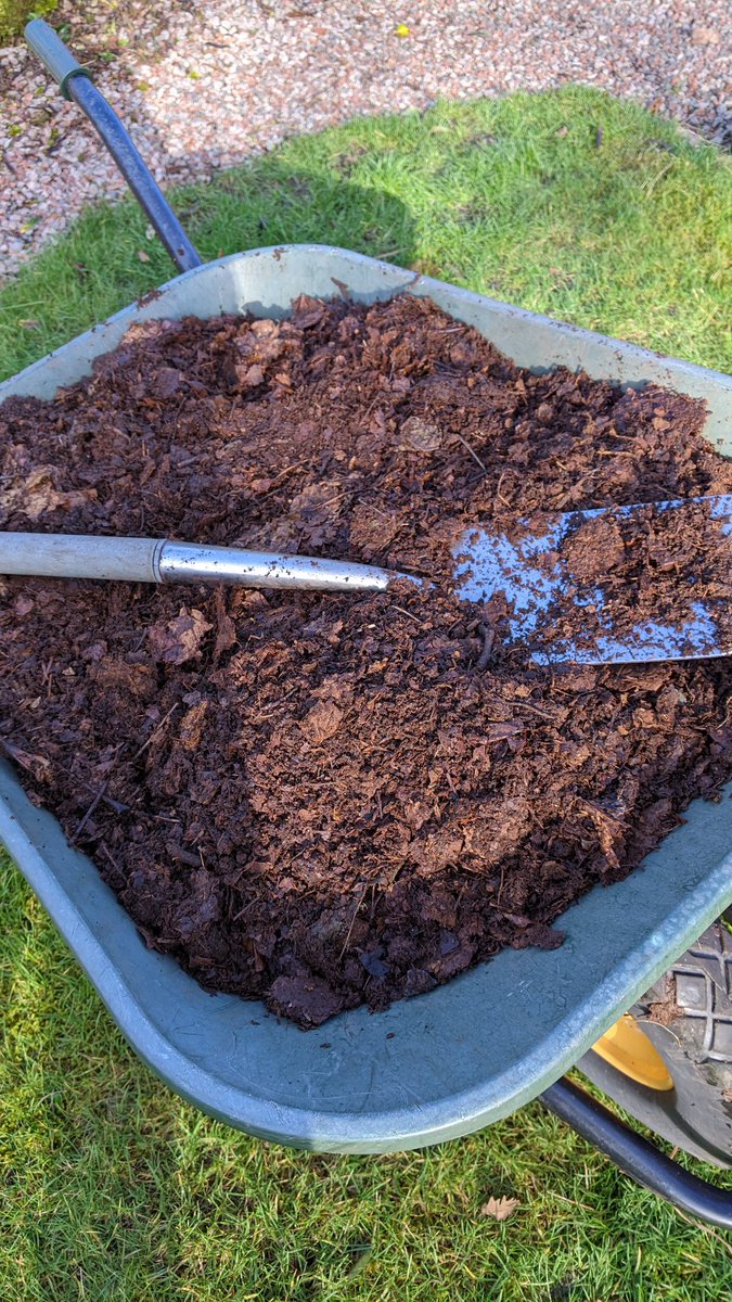 I have to say I'm impressed with my #justsaying #leafmould #naturesrecycling #compost