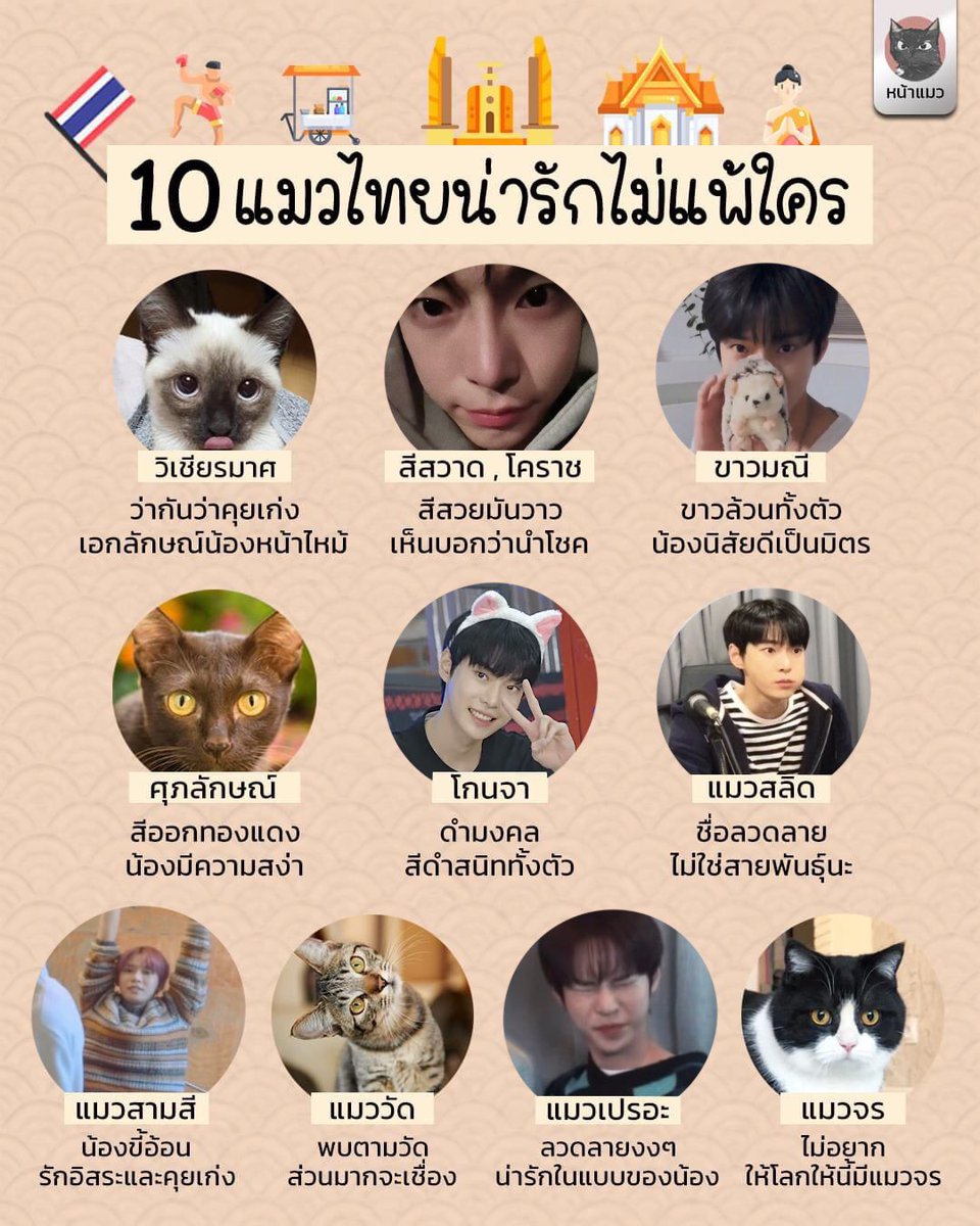 อยากเลี้ยงเหมียวเหมียวเพิ่มจัง 🐱