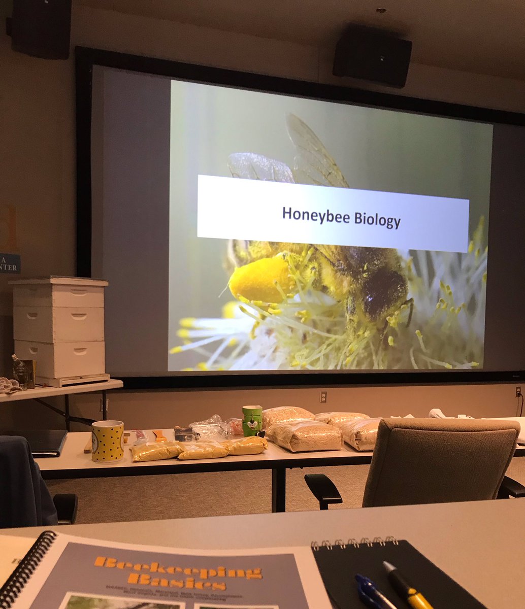 kennybruce's tweet photo. 16 degrees outside and snow on the ground. Inside? Well, there’s this. Thanks to Highlands Beekeepers Association. https://t.co/1sunN92mZs