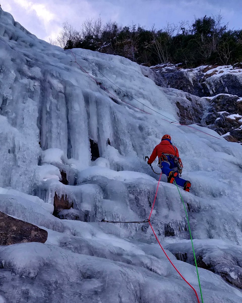 Dave Talbot tweet media