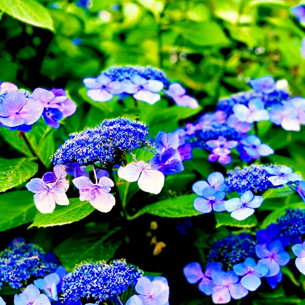 0815pal's tweet photo. 好きな色
 #写真 https://t.co/RrR5JB9rz3