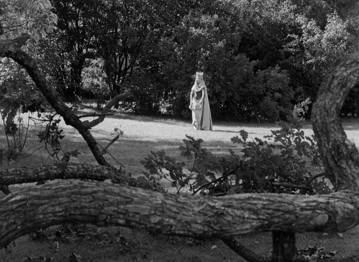 sjmay92's tweet photo. The Seventh Seal (1957) Dir. Ingmar Bergman https://t.co/QQtOXf4uv8
