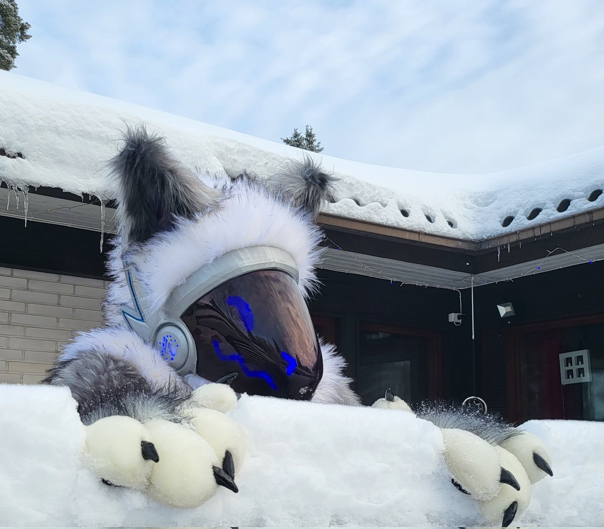 Nolla on X: Snow, snow, lots of snow! 🥰 #protogen #fursuit   / X