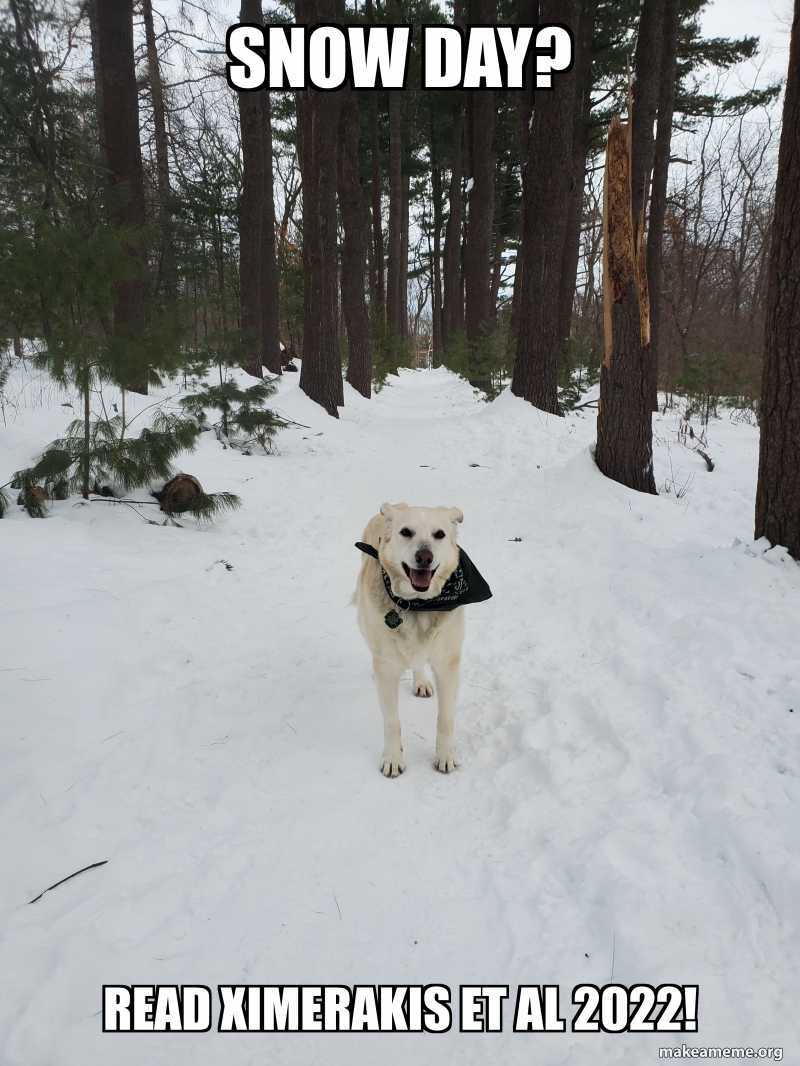 Lee Rubin tweet media