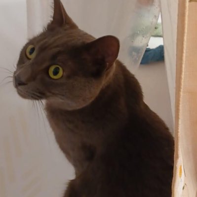 Alicechassie's tweet photo. #NewProfilePic https://t.co/jrZA1W0Lm1