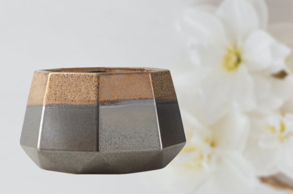 BiggInteriors's tweet photo. Our Jet Metallic Planter has a two-toned rich design to it. Perfect for if you wanted a modern but lively looking item. #homedecorinspo #interiordecor #homeinspo  #sorealhomes #decor #homedecorating #housedecoration #homedecoration #bigginteriors #visitbolsover #sale https://t.co/jmZ9K3z9sk