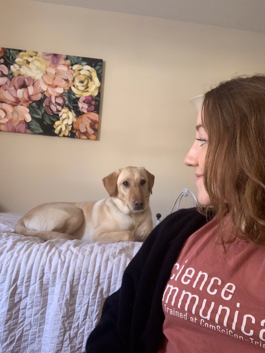 GJDardis's tweet photo. My really cute coworker is a little distracting though… https://t.co/wWejNjNDTI