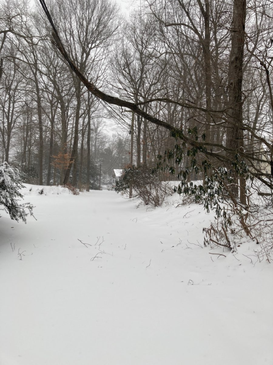 Winds are expected to pick up as the strongest part of the storm moves in, and we expect more damage caused by trees like here on Colony Road in Westport. Crews are responding as quickly as safety allows, &amp; with extra caution because of hazardous traveling and wind conditions.