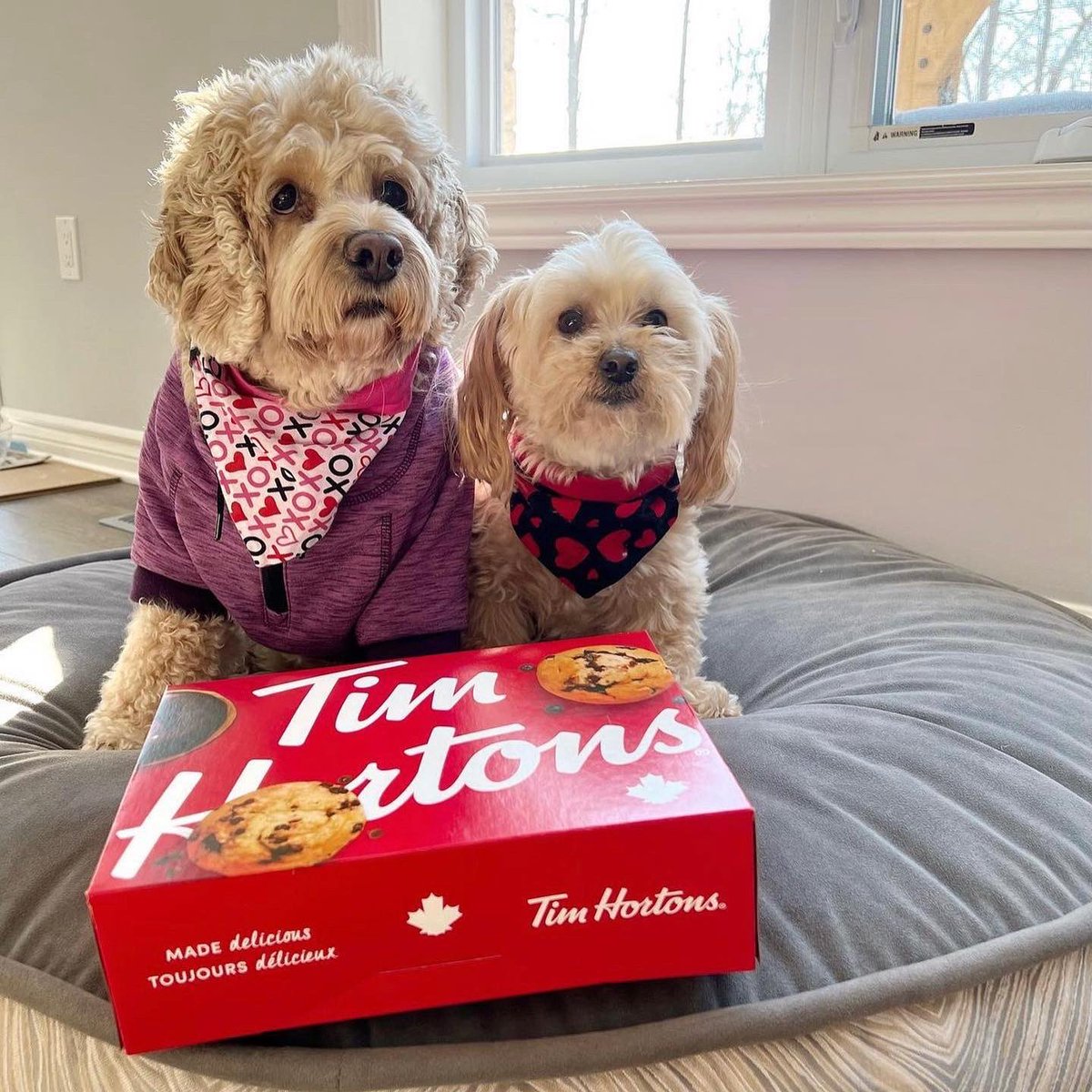🍩❤️ Day 2 of #ChooseToInclude Donut at @timhortons! Have you tried one yet?

100% of the proceeds will support the more than 41,000 athletes with an intellectual disability across Canada.

And just like Special Olympics, they’re fun for the whole family - all ages and abilities!
