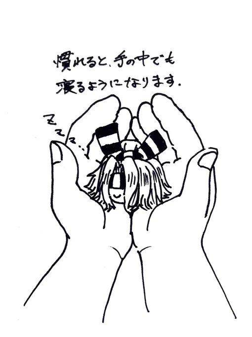 づほむしの生態レポート59 #づほむし 