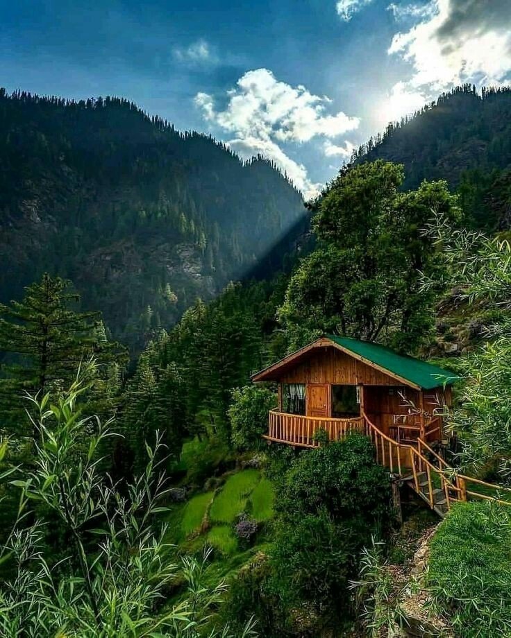 AnaCris61685619's tweet photo. Feliz Sábado 💙💚
La vida es muy simple, pero a veces insistimos en hacerla complicada....
Lindo fin de semana!! 😊 https://t.co/Y4RiDWG2Kt