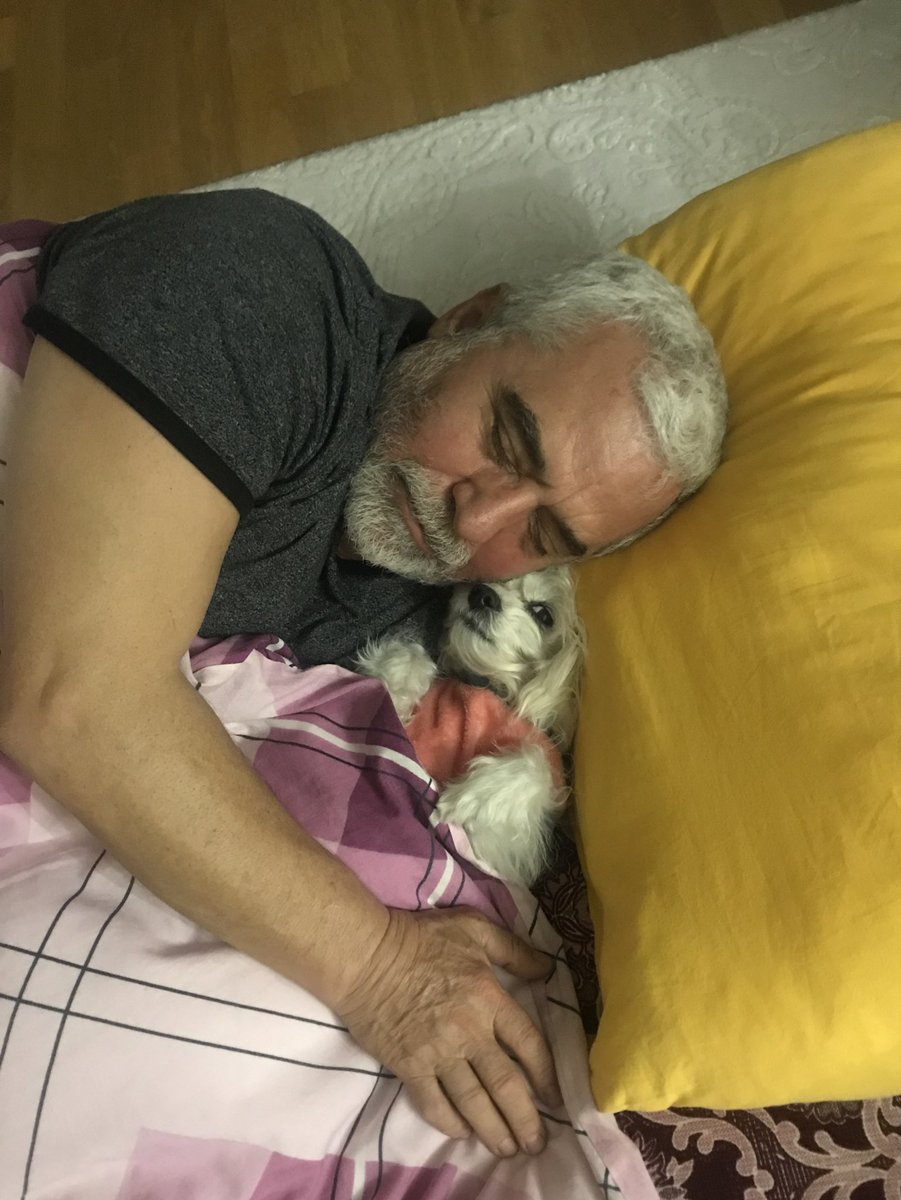 Evin içinde köpek istemeyen annem ve babam… sonuç asla şaşmıyor assla:)