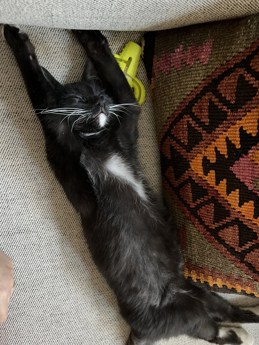 Saturday morning mood. Slooooooooooow down.