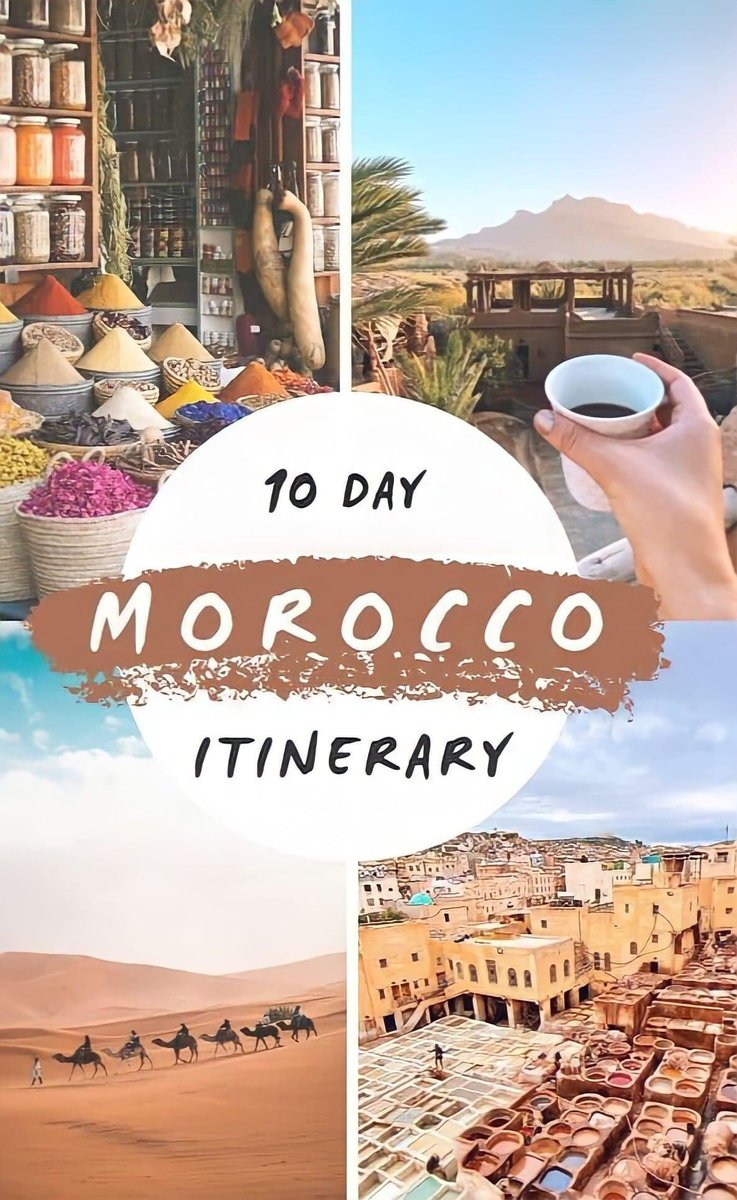 moroccowithsimo's tweet photo. 🐪MERZOUGA
EXPEDITION
Private Morocco Tours &amp; Events ♥️
✉️ info@merzouga-expedition.com
📞 +212 603 745 808 https://t.co/ufDLr0Q5iY