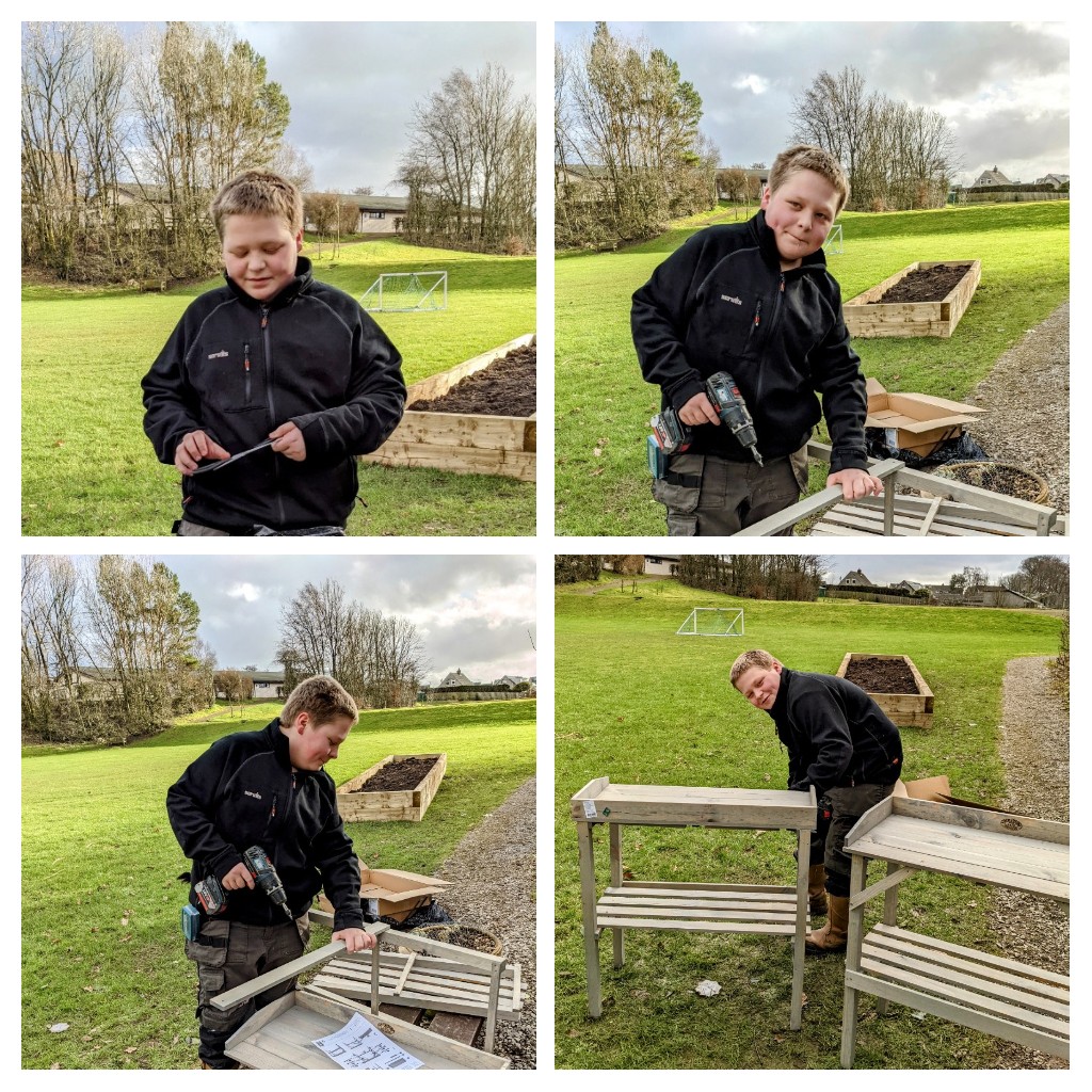 The Bee Team tweet media