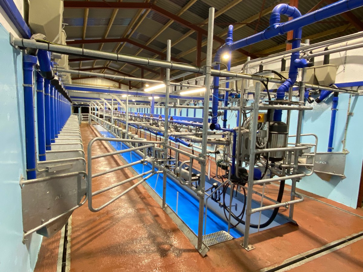 Finished up with <a href="/Gouldingsfert/">Goulding Soil Nutrition</a> this week after 6 years. Very grateful to have had the opportunity, learned an awful lot and met some great people along the way. Looking forward to getting stuck in at home now, growing some grass and putting the new bit of plant to work☘️🐄🥛