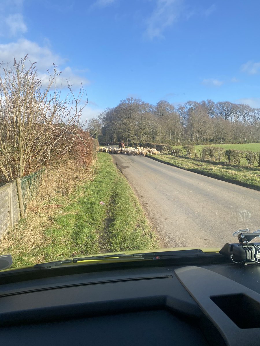 Slightly different type of obstruction at work today 🙈🙈 <a href="/nwamb_Cumbria/">NWAS Cumbria</a> <a href="/NWAmbulance/">North West Ambulance Service</a>