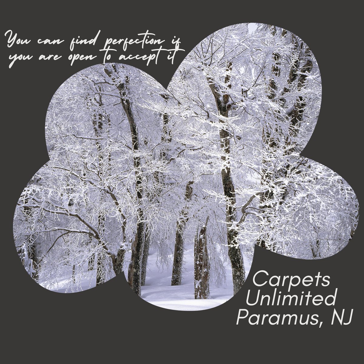 carpetsnj's tweet photo. https://t.co/HGmGpxsVky