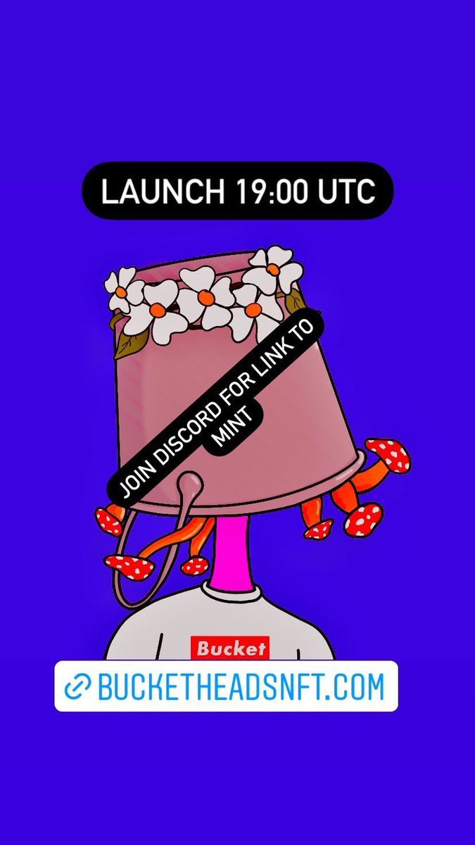 BucketHeadbois's tweet photo. https://t.co/9PU287eS9s https://t.co/ufbNqnHig6