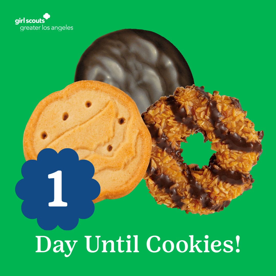 GirlScoutsLA's tweet photo. It’s the eve of #GirlScoutCookieSeason and we’re so excited! Only ONE more sleep until Girl Scout Cookies! 🍪

#GSGLA #girlscoutcookies #cookieseason #cookiecountdown #samoas #trefoils #thinmints #tagalongs #dosidos #lemonups #toffeetastic #smores #adventurefuls #girlscouts https://t.co/rwqGh9ngBL