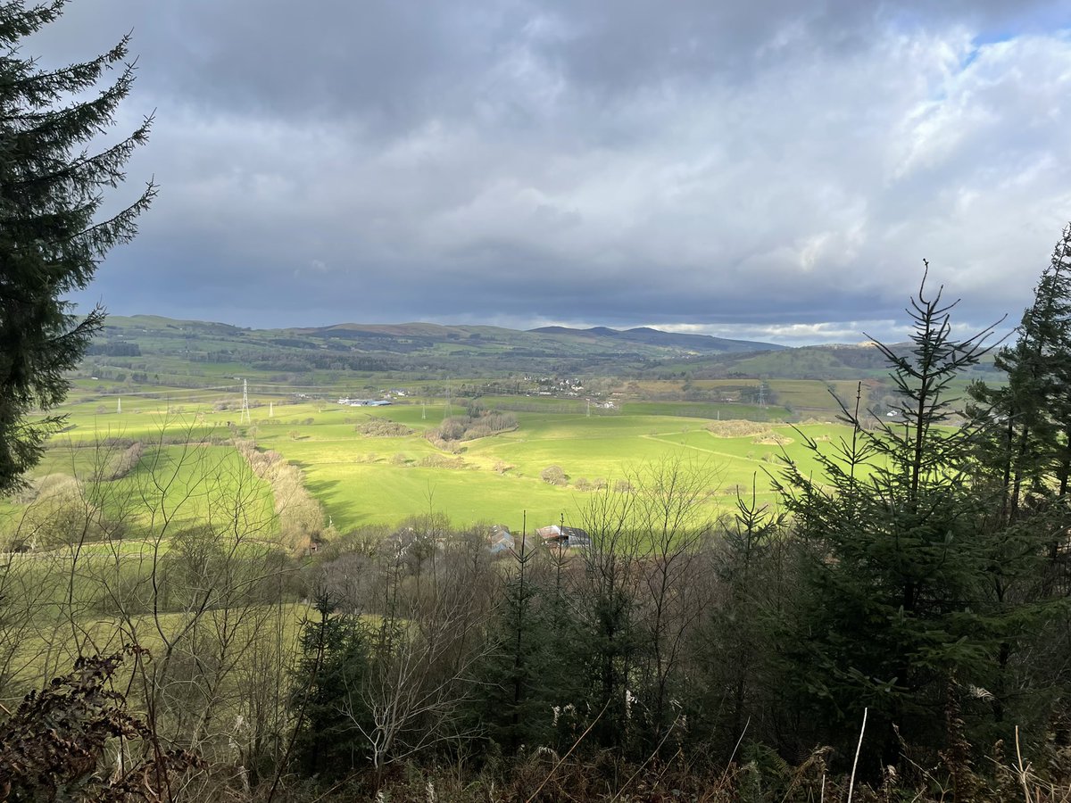 Nikki Foulkes tweet media