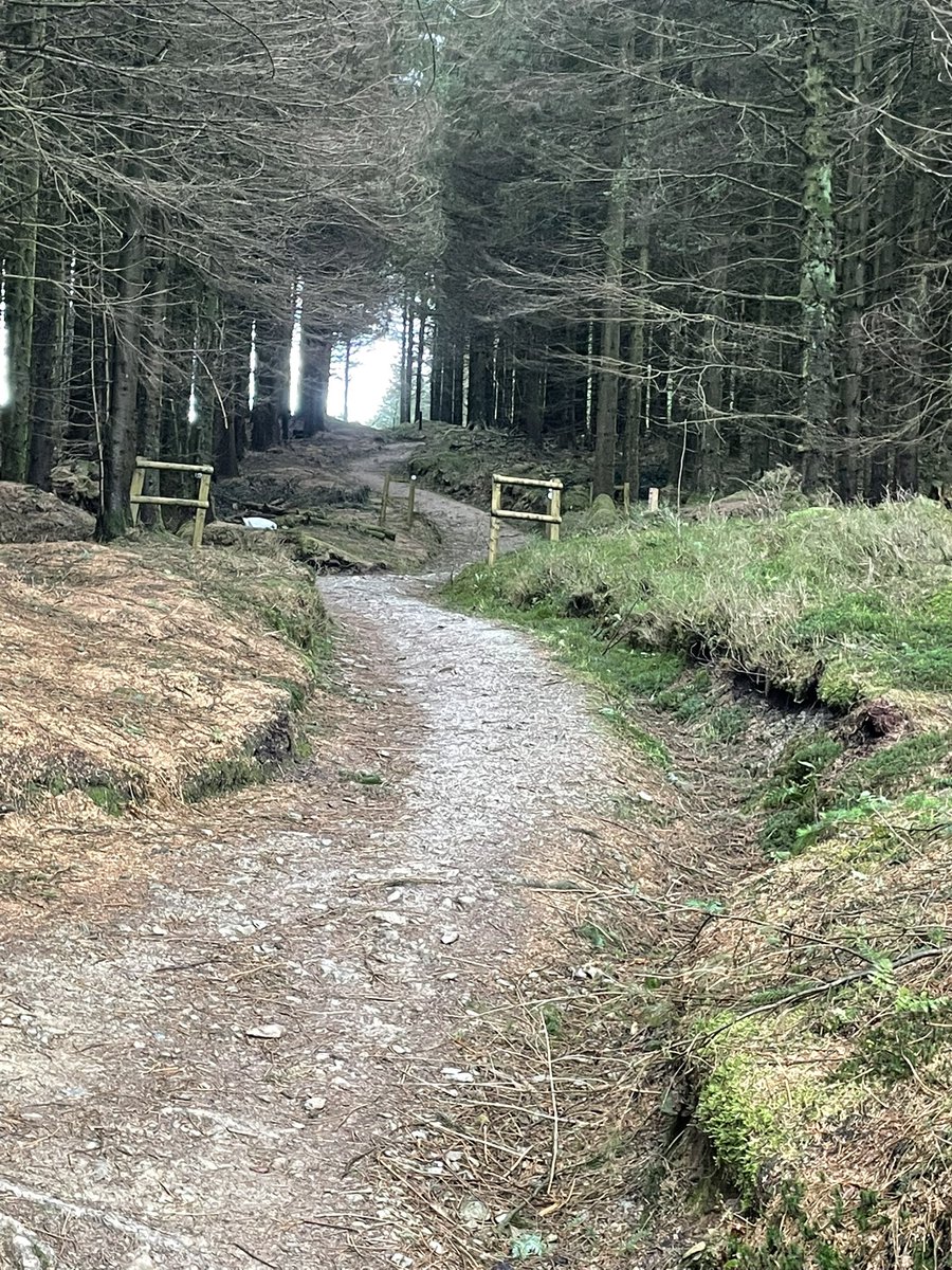 Nikki Foulkes tweet media