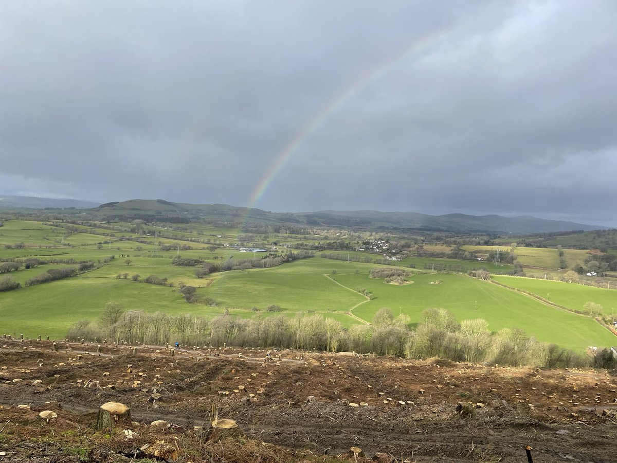 Nikki Foulkes tweet media