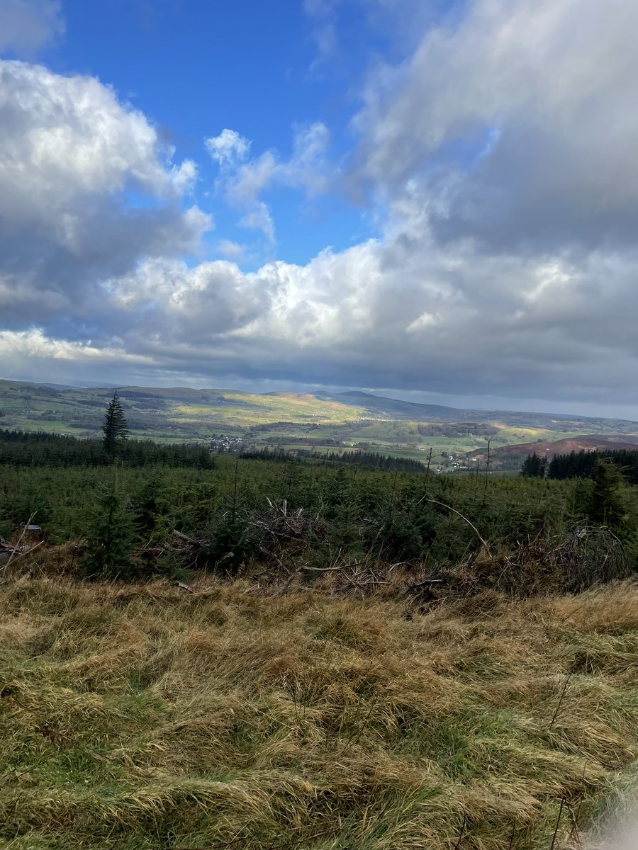 Nikki Foulkes tweet media