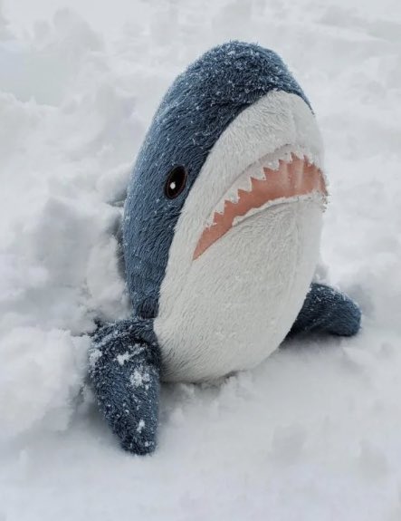 Looks like a snow day in Nova Scotia!! Whose got some great storm photos?