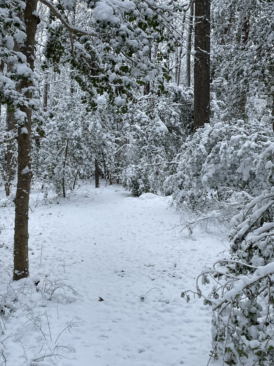 dtkung's tweet photo. One of my favorite activities: bad weather running. Gaiters we're really key in the foot deep drifts today. Any other #MathRunners out there in the snow? https://t.co/LSp3JOwNbp
