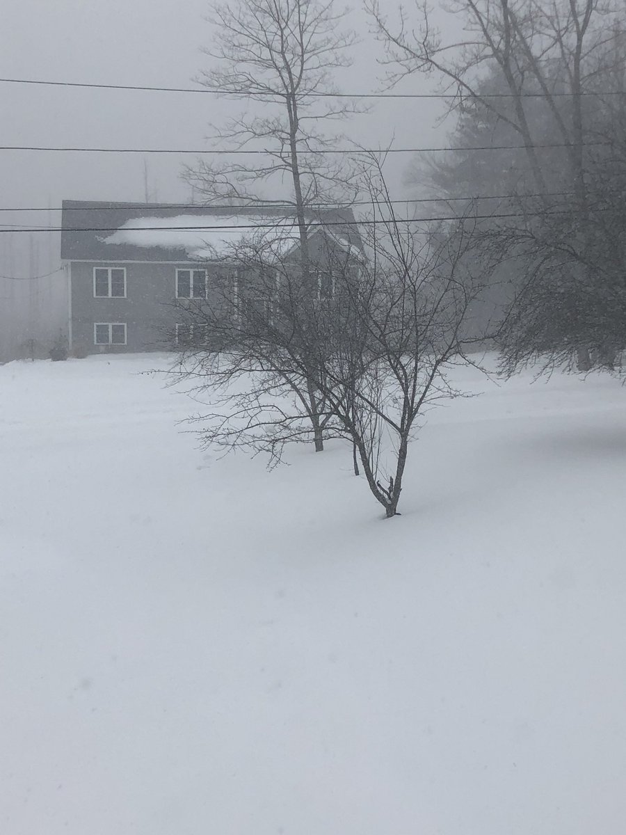 JessicaLeuschn2's tweet photo. @ryanhallyall front yard. Just west of Worcester. https://t.co/oIzywCNhf7