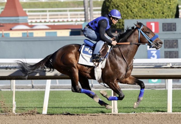 davidchesley's tweet photo. #4 in your program but #1 in your❤️ @OaklawnRacing Race 10 King Cotton Stakes today🔥 @MyRacehorse #CollusionIllusion is back💪 Good luck @ljlmvel 🍀 https://t.co/FKJNXrWJhC