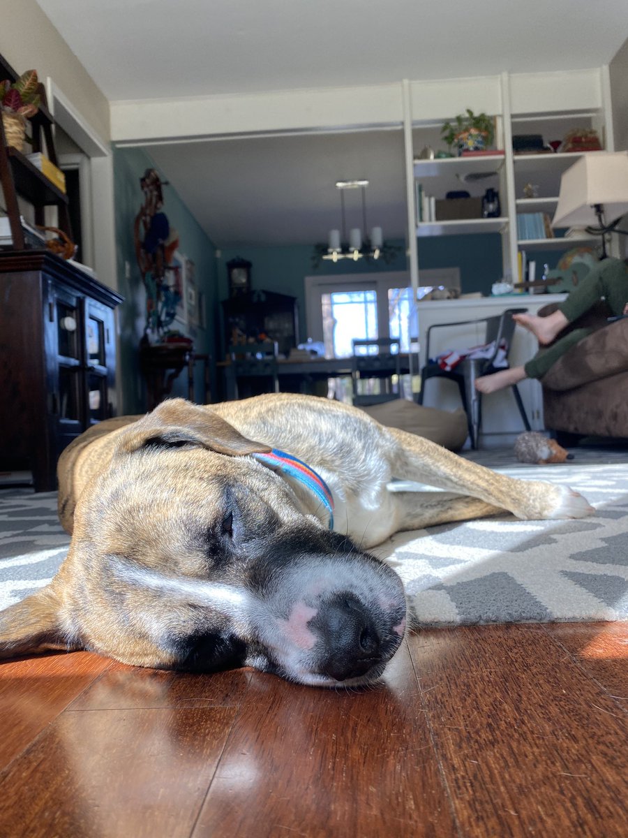 Tim Hayden tweet media