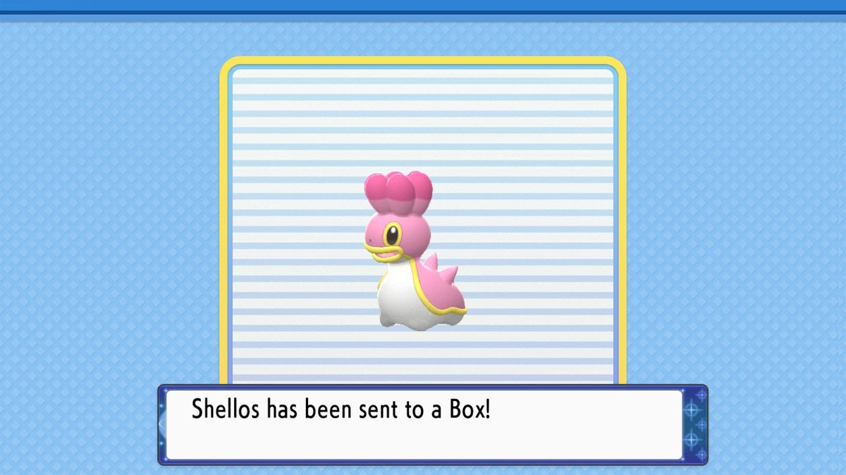 EmmaEnder14's tweet photo. I just caught both of these shiny Pokémon, in Route 218, in a row, by chance! What crazy odds! #PokemonBrilliantDiamond #NintendoSwitch #ShinyPokémon https://t.co/OFigZ7QqeK