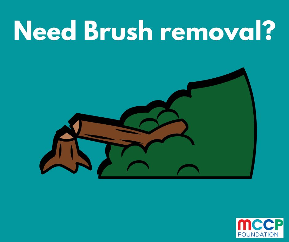 MCCP Family,  
Fairfax County Solid Waste collections customers may utilize a “special collection” pick up for the removal of the Bulk or Brush/Tree Limb materials. For more information read here: bit.ly/32KCQrW