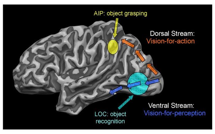 M. Yakup Altuğ tweet media