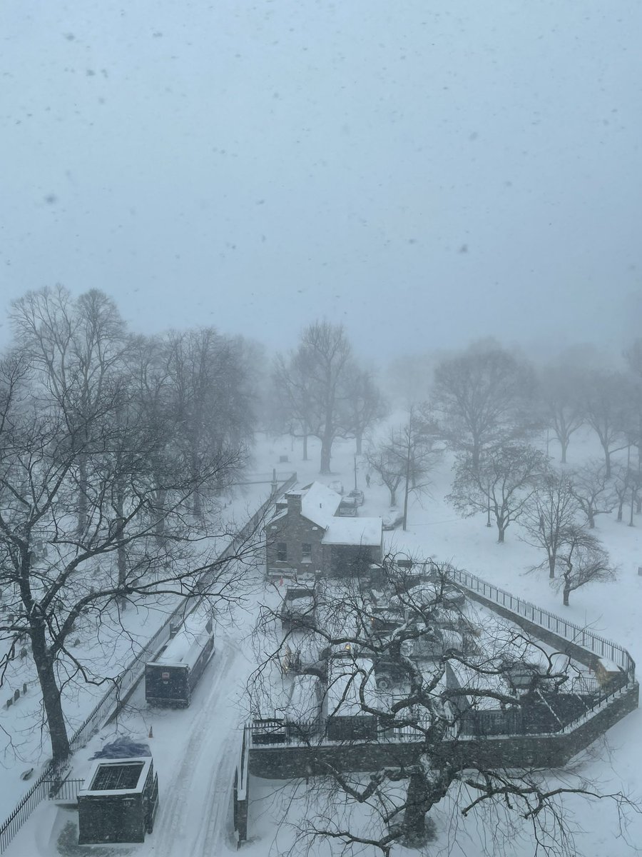 liv 🫶 tweet media