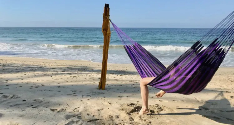 PVAngels tweet media