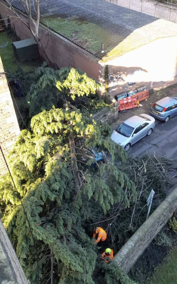 audanderson1's tweet photo. @edinburghpaper @Beth_Murray_ The Rossie place / Abbeyhill photos are from the same tree https://t.co/iefAG4ptzZ