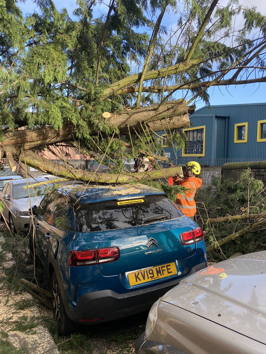 audanderson1's tweet photo. @edinburghpaper @Beth_Murray_ Reviewing CCTV the SAGA bus from the Sheltered housing went past 25seconds before the tree came@crashing down . Thankfully no one got injured. https://t.co/vgxK7IR6BM